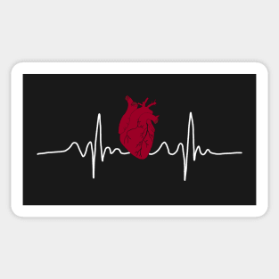 anatomy heart Sticker